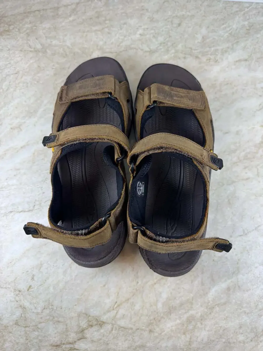 Keen rugged targhee